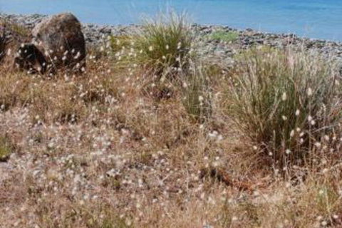 Schouten House - ACT Tourism 0