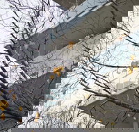 The Sebel Launceston - ACT Tourism