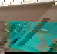 Novotel Brisbane Airport - ACT Tourism