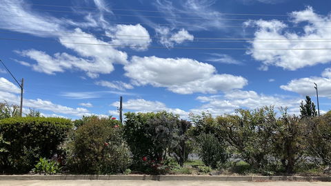 Sapphire City Motor Inn, Inverell - ACT Tourism 3