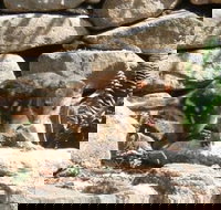 Jenolan Caves House - ACT Tourism