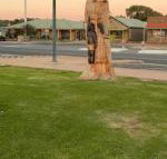 Lake Albert Motel - ACT Tourism