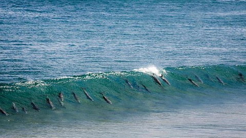 Neptune At Port Elliot - ACT Tourism 2