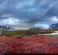 Saintys Creek Cottage - ACT Tourism