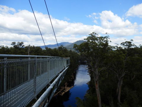 Tahune Air Walk Lodge - ACT Tourism 5
