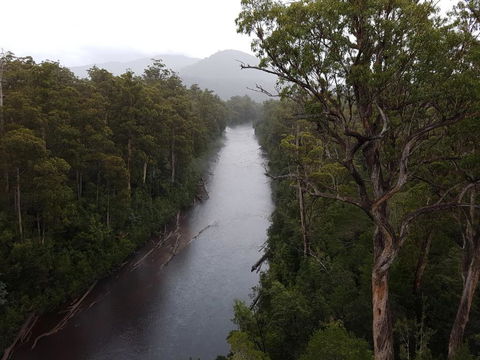 Tahune Air Walk Lodge - ACT Tourism 2