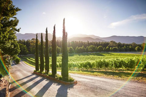 Feathertop Winery - ACT Tourism 5