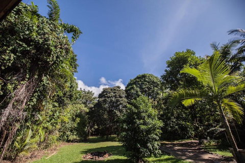 Cape Tribulation Holiday House - ACT Tourism 2