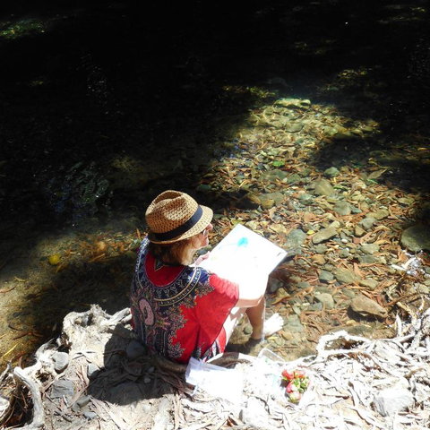 Cape Tribulation Holiday House - ACT Tourism 5