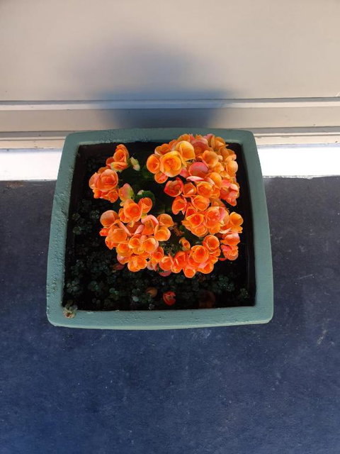 Parkside Motel Morwell - ACT Tourism 6