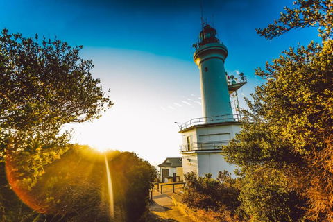 Abaleen House - ACT Tourism 5