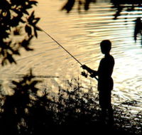Wooli River Lodges - ACT Tourism