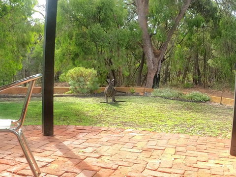 Yallingup Pet Friendly Bush Retreat - ACT Tourism 5