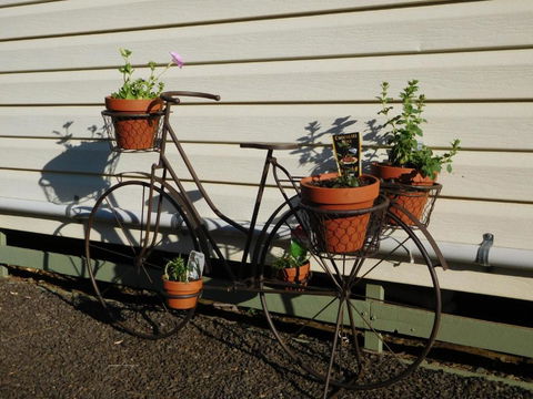 Villa Holiday Park - ACT Tourism 4