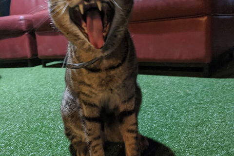 Jump Inn Alice Budget Accommodation - ACT Tourism 1