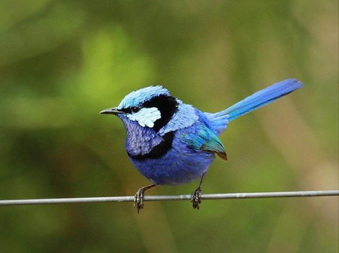 Dingup House - ACT Tourism 6