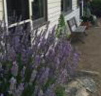 Walnut Cottage - ACT Tourism