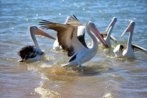 Alva Beach Tourist Park - ACT Tourism 4