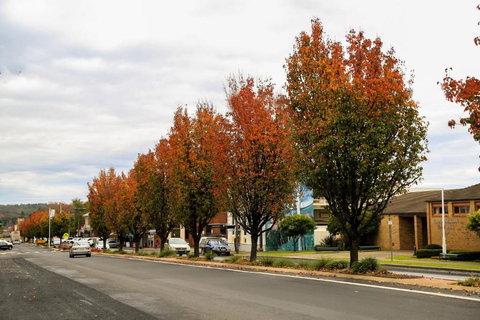 Getaway Tourist Park - ACT Tourism 6