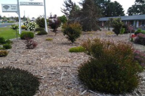 Altona Motel - ACT Tourism 0