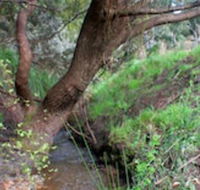 Longwood Retreat - ACT Tourism