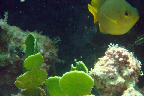 Gnaraloo Station - ACT Tourism 5