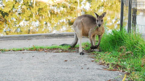 Riverfront Delight - ACT Tourism 3