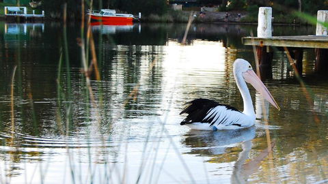 Riverfront Delight - ACT Tourism 4