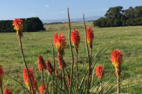 Yanakie Holiday House - ACT Tourism 7