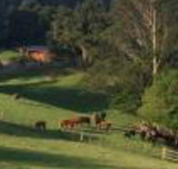 Amaroo Valley Springs - ACT Tourism