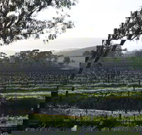 Jasmine's Cottage - ACT Tourism