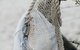 Salt At Shoal Bay - thumb 6