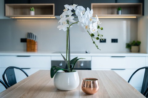 Youngtown Executive Apartments - ACT Tourism 7