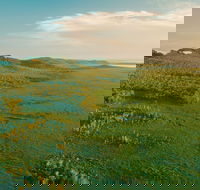 Habitat Noosa - ACT Tourism