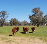 Jindera Park - ACT Tourism