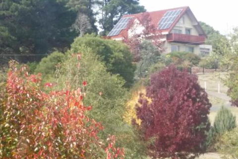 Abelia BIG SPA NO 1 Cottage - ACT Tourism 2