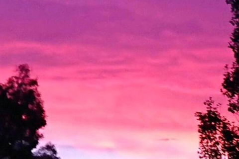 Abelia BIG SPA NO 1 Cottage - ACT Tourism 6