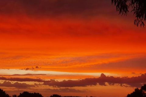 Abelia BIG SPA NO 1 Cottage - ACT Tourism 4