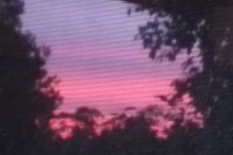 Abelia BIG SPA NO 1 Cottage - ACT Tourism 7