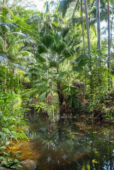 Sanctuary In The Pocket - ACT Tourism 1