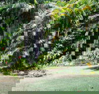 Sanctuary in The Pocket - ACT Tourism