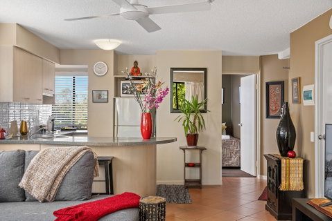 Asiatic Suite At Nautilus Mooloolaba - ACT Tourism 5