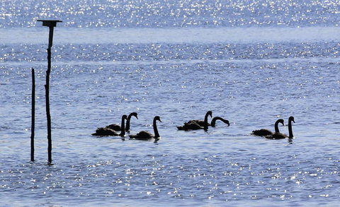 Riverwalk B & B - ACT Tourism 6