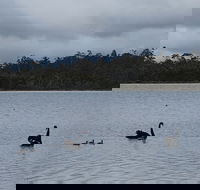 Lake Yalleena Nature Retreat - ACT Tourism