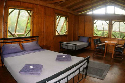 Daintree Rainforest Bungalows - ACT Tourism 4
