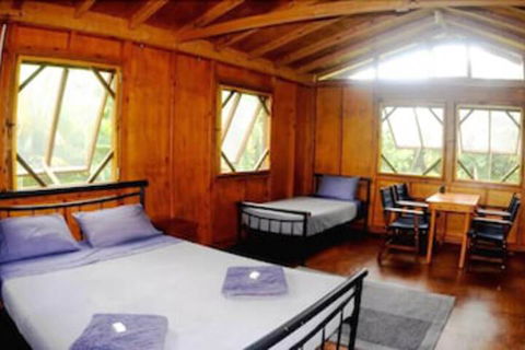 Daintree Rainforest Bungalows - ACT Tourism 5
