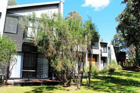 Margarets Forest - ACT Tourism 2