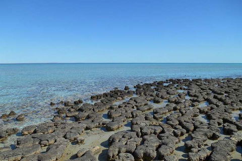 Hamelin Pool Caravan Park - ACT Tourism 4