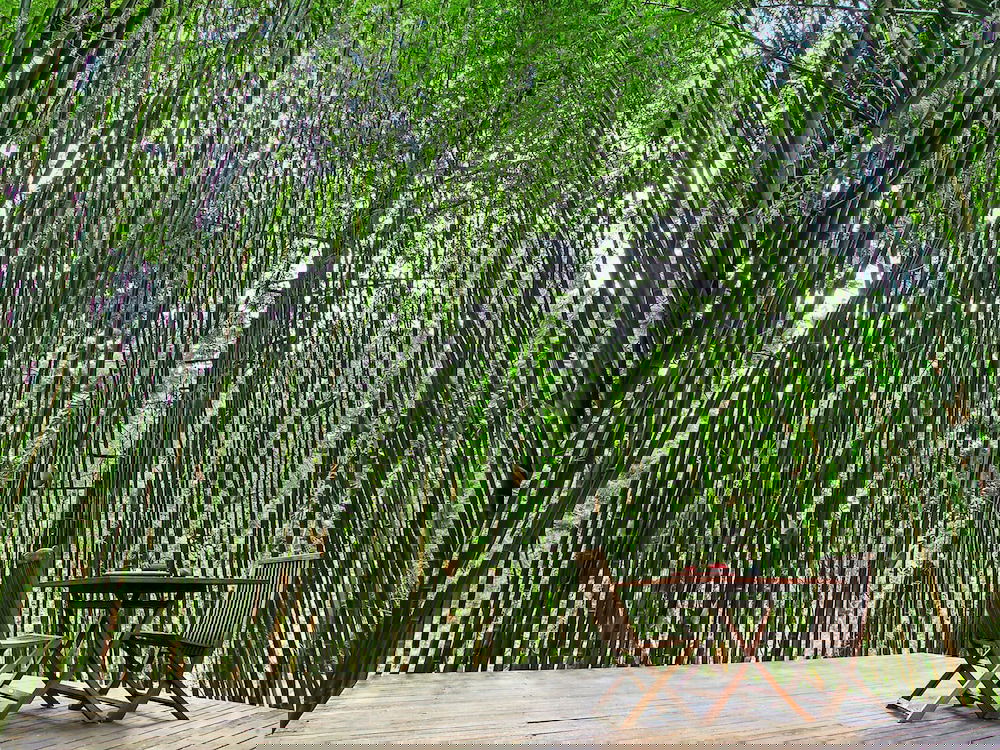 Skinners Shoot NSW ACT Tourism