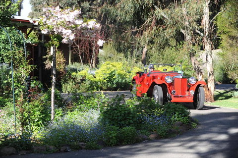 Wintarni Olives Cottage - ACT Tourism 1